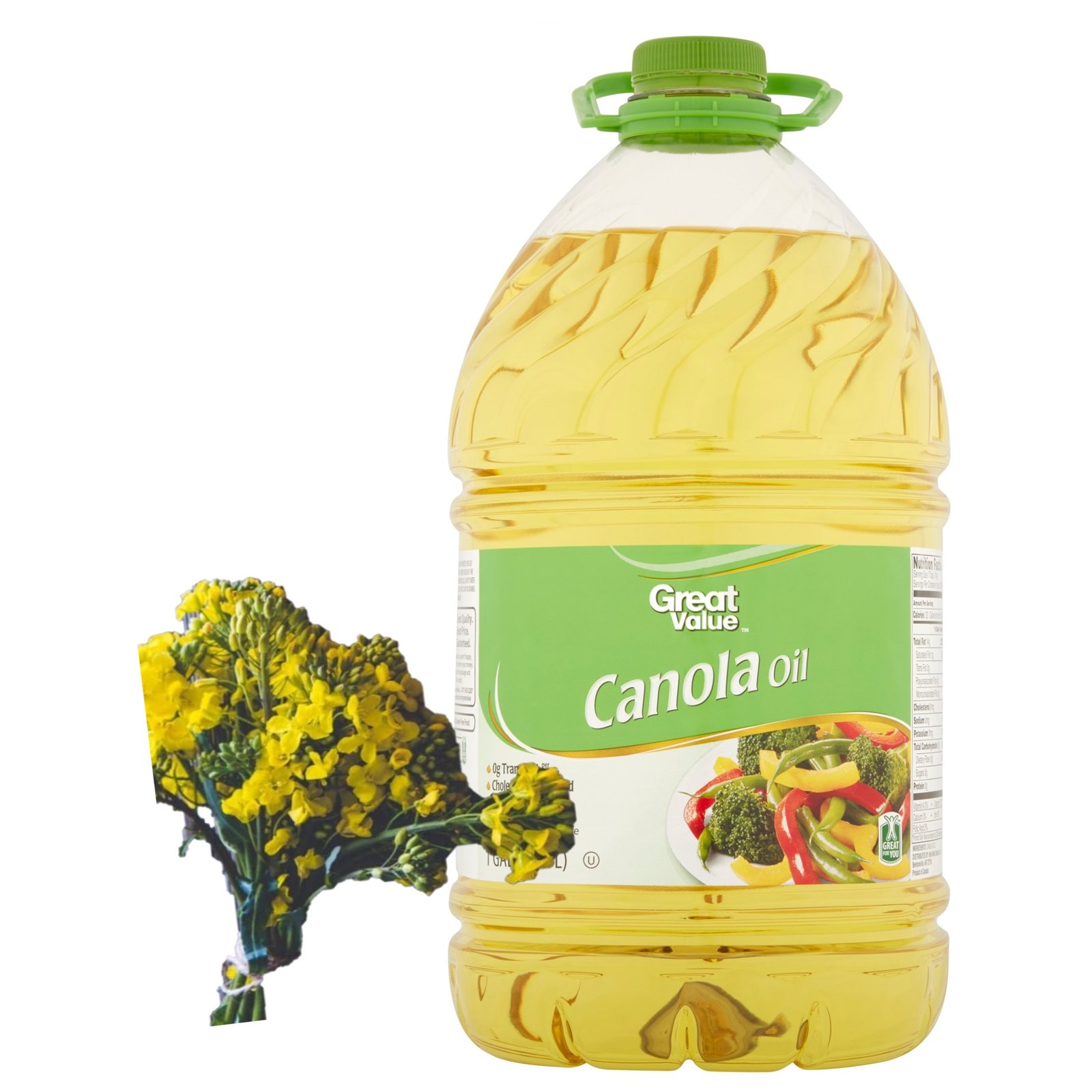 High Quality Pure Refined Canola Rapeseed Oil Factory Direct at Very Low Price Plant Oils