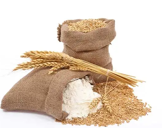 High Quality Gluten-Free All-Purpose Wheat Flour Healthy and Dry Buckwheat Barley for Bakery Use Packaged in Bulk Bag