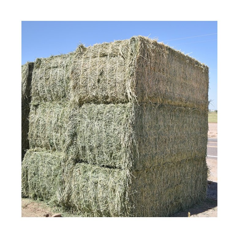 Natural Cattle Alfalfa Hay Animal Feed for sale