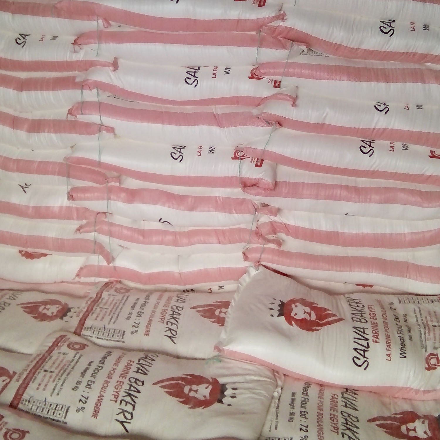 Salva Bakery Premium Grade All-Purpose Bread Flour ISO 9001 HALAL Certified 50KG Bulk Packaging Wheat-based Milling Process