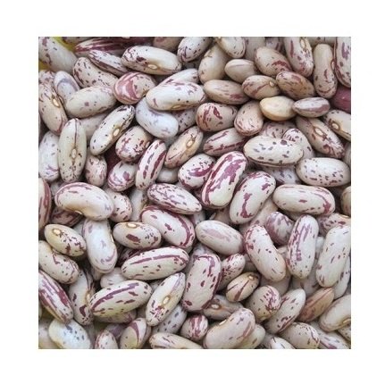 Organic Light Speckled Kidney Beans Sugar Beans Pinto Beans for Sale in Bulk Packaging
