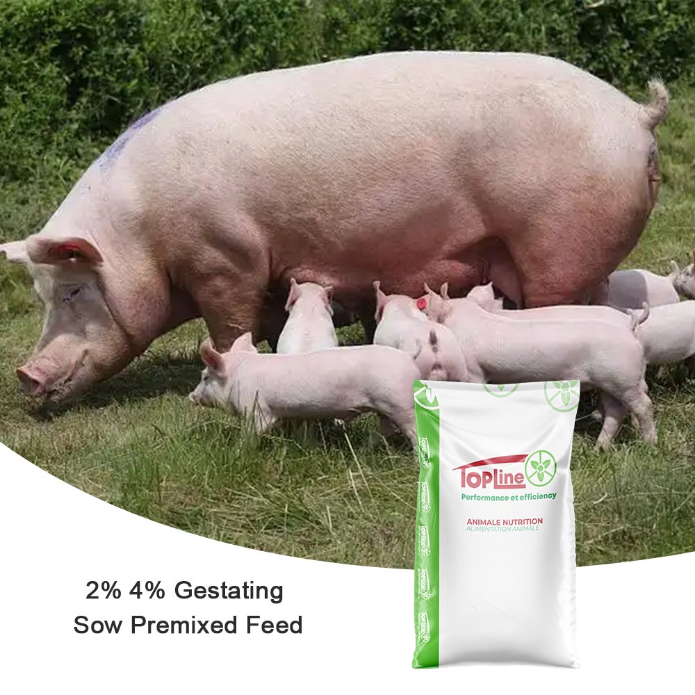 High Quality 2% 4% Pig Premix Feed Supplement Vitamin Enhancer for Piglets Sows Lactation Stage Pregnancy
