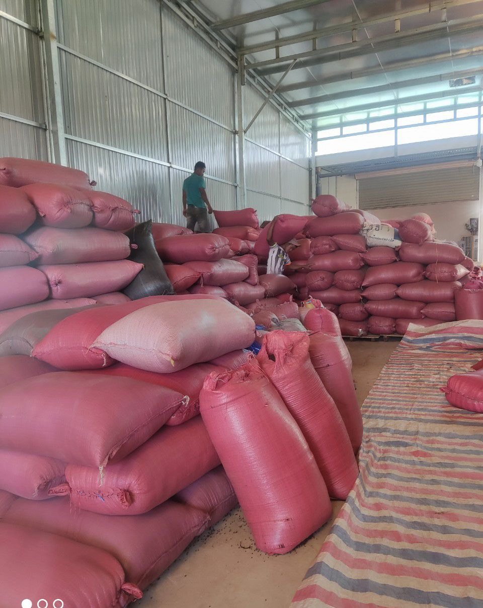 POULTRY FEED - High Protein Content Soybean Meal From Vietnam, Only Available in This Season, Low MOQ, Competitive Price