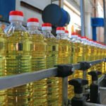 Why Premium Cooking Oil Is in High Demand: Market Growth, Health Benefits & Export Opportunities in 2025